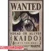 One Piece - Affiche Wanted Kaido 2 One Piece - Affiche Wanted Kaido -Figurines Soldes one piece affiche wanted kaido