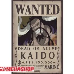 One Piece - Affiche Wanted Kaido